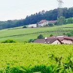 Cave Du Treyblanc Bed & Breakfast Luins