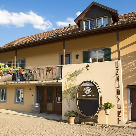 Bed & Breakfast Cave Du Treyblanc Luins