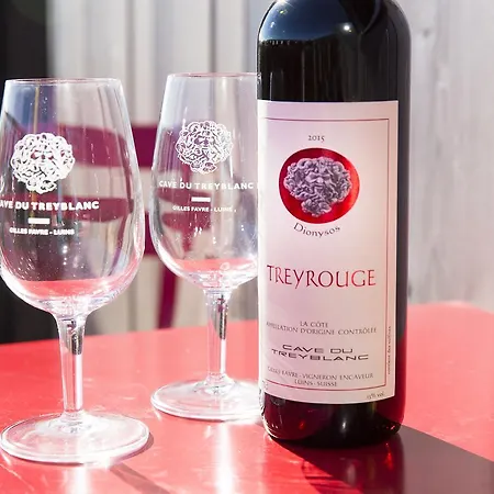 Cave Du Treyblanc Alojamento de Acomodação e Pequeno-almoço Luins
