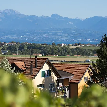 Cave Du Treyblanc Alojamento de Acomodação e Pequeno-almoço Luins