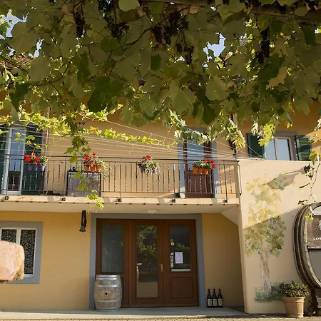 Cave Du Treyblanc Bed & Breakfast