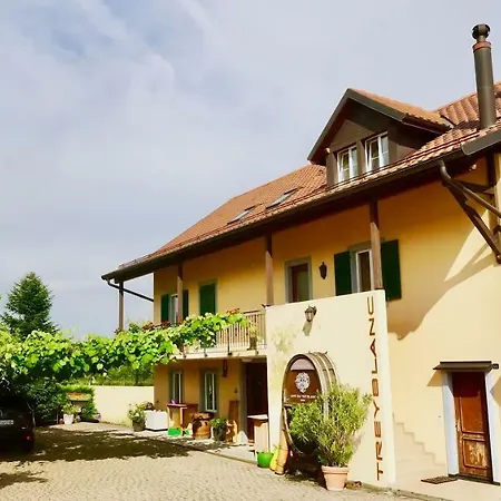 Cave Du Treyblanc Luins