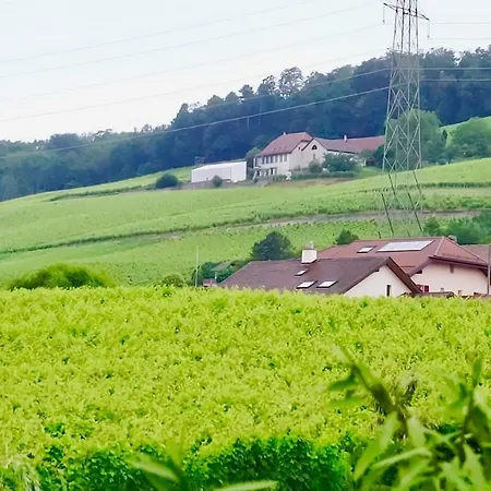 Cave Du Treyblanc Alojamento de Acomodação e Pequeno-almoço Luins