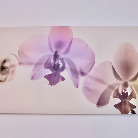 Cave Du Treyblanc 住宿加早餐酒店 Luins