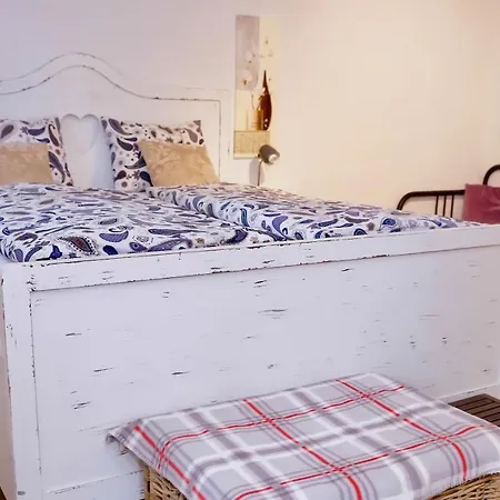 Cave Du Treyblanc Bed & Breakfast Luins