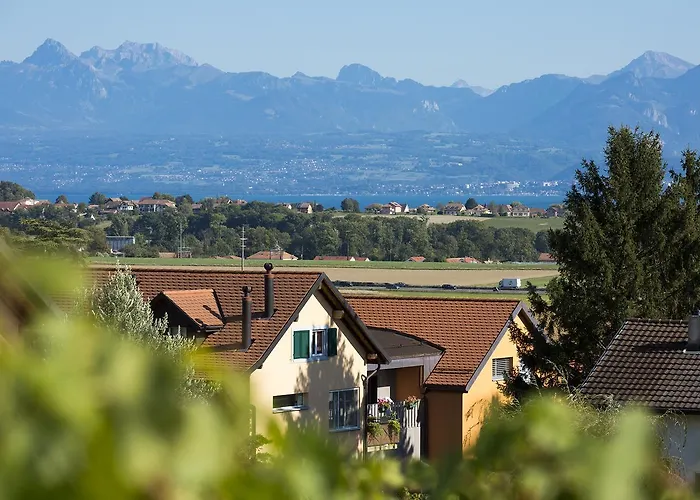 Cave Du Treyblanc Nocleg ze śniadaniem Luins