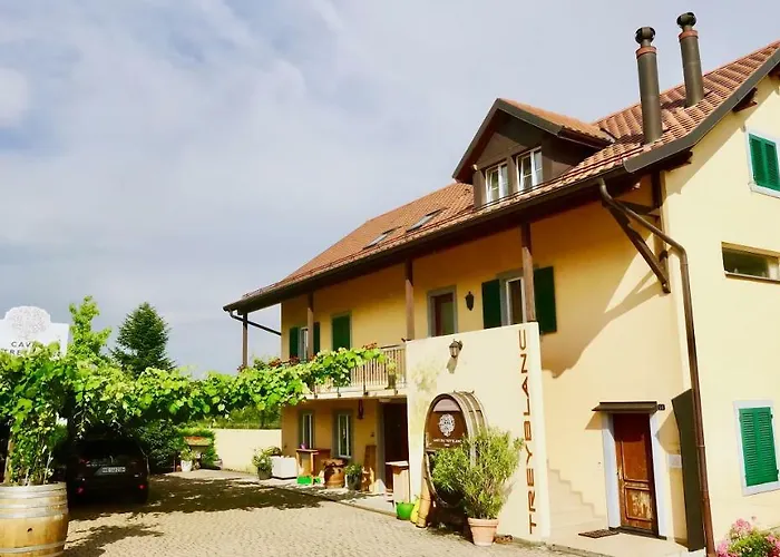 Cave Du Treyblanc Luins