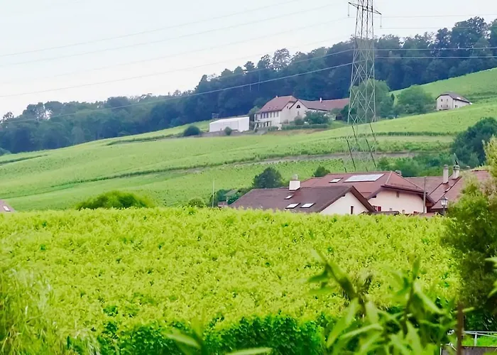 Cave Du Treyblanc Nocleg ze śniadaniem Luins
