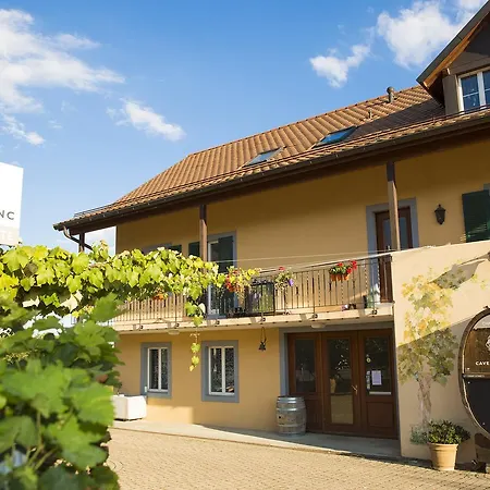 Bed & Breakfast Cave Du Treyblanc 3*