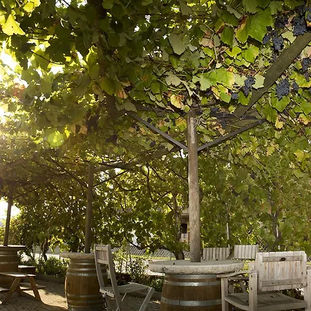 Cave Du Treyblanc Bed & Breakfast 3*
