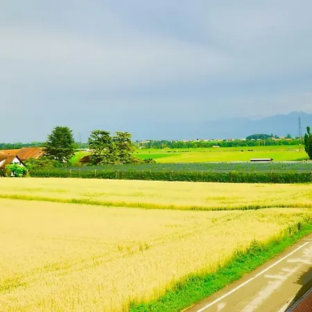 Cave Du Treyblanc Luins