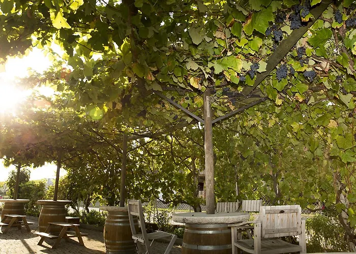 Cave Du Treyblanc Couette-café 3*