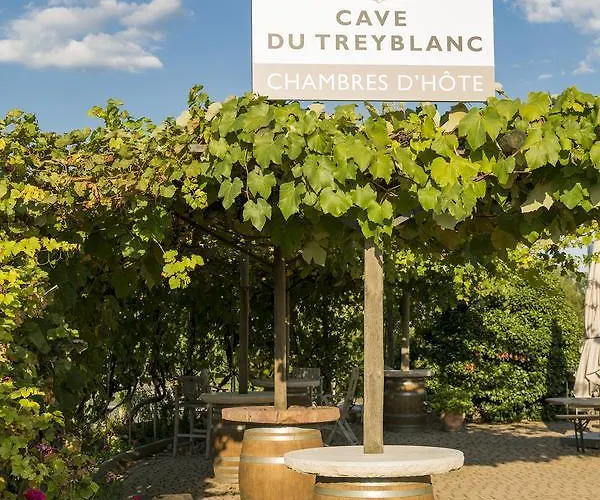 Couette-café Cave Du Treyblanc