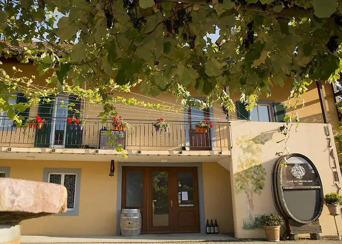 Cave Du Treyblanc Couette-café