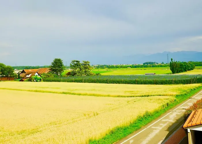 Cave Du Treyblanc Luins