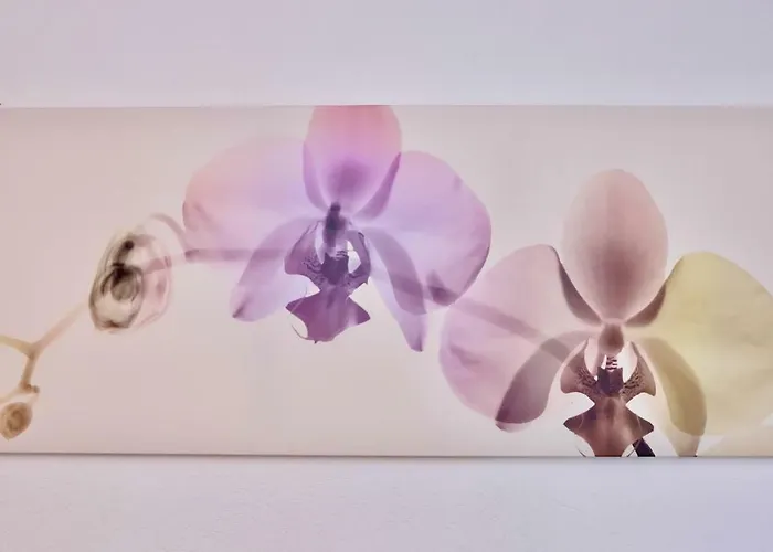 Cave Du Treyblanc Couette-café Luins