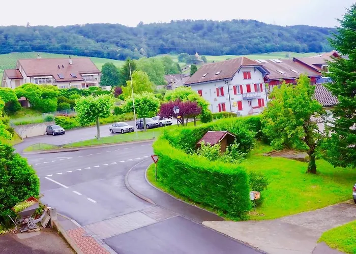 Couette-café Cave Du Treyblanc Luins